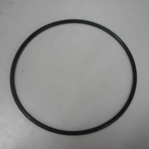 Intex Filter Pump O Ring